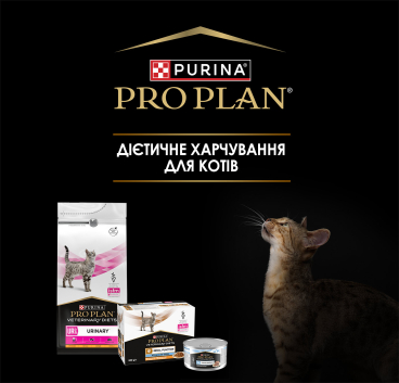 Откройте эффективное клиническое питание от PRO PLAN® Ветеринарные диеты, позволяющие повысить эффективность общего протокола лечения с помощью целевых, научно обоснованных и проверенных формул.