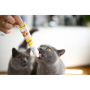 Кипити Duo Paste Multi-vitamin 12 vitamins with cheese Паста для котів 12 вітамінів та сир