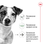 Кипити Mini Ageing 12+ - сухий корм для собак малих розмірів (від 12 років)