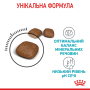 Купить Urinary Care - сухой корм для поддержания здоровья мочевыделительной системы у кошек (от 12 месяцев)