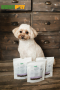 Купить Superior Care White Dogs Sensitive Care Беззерновые лакомства с чувствительным пищеварением с лососем для юниоров с белой окраской