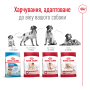 Купить Medium Adult - сухой корм для взрослых собак средних пород (от 12 месяцев)
