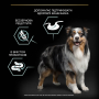 Кипити Dog Adult Grain Free Medium & Large Sensitive Digestion Turkey Сухий корм з індичкою для дорослих собак середніх і великих порід із чутливим травленням