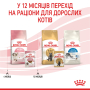 Кипити Kitten Gravy – вологий корм у соусі для кошенят на кожен день (до 12 місяців)