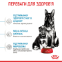 Купить Maxi Starter Mother & Babydog - сухой корм для беременных собак и щенков крупных пород (до 2 месяцев)