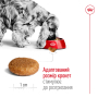 Купить Medium Adult - сухой корм для взрослых собак средних пород (от 12 месяцев)