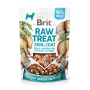 Купить Raw Treat freeze-dried Skin and Coat - лакомство для собак для кожи и шерсти, рыба и курица