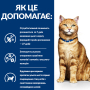 Купить PD Feline C/D Salmon Влажный корм для кошек, уход за мочевыделительной системой, с лососем