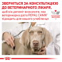 Купить Recovery - диетический влажный корм для кошек и собак в период восстановления после болезни