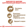 Купить Ageing Sterilised 12+ - сухой корм для зрелых стерилизованных котов (от 12 лет)