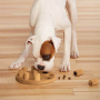 Кипити Dog Smart Composite - іграшка-головоломка для собак, композит