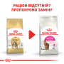 Купить Bengal Adult - сухой корм для котов породы бенгальская (от 12 месяцев)