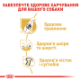 Кипити German Shepherd Adult – сухий корм для дорослих собак породи Німецька вівчарка (від 15 місяців)