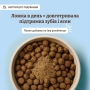 Кипити Dental Powder Порошок від зубного каменю