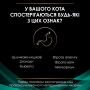 Купить Veterinary Diets EN Gastrointestinal Диетический влажный корм при нарушениях работы желудочно-кишечного тракта у кошек всех возрастов