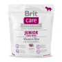 Кипити Junior Large Breed Lamb & Rice - гіпоалергенний сухий корм з ягням та рисом для цуценят та юніорів великих порід