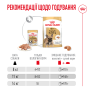 Купить French Bulldog Adult Влажный корм для взрослых собак породы Французский бульдог
