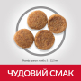 Кипити SP Canine Adult Medium Breed Chicken Сухий корм з куркою для дорослих собак середніх порід