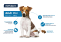 Купить Dog Mini Adult Сухой корм для взрослых собак маленьких пород с курицей и рисом