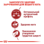 Кипити Fit 32 - сухий корм для котів, що мають доступ на вулицю (від 12 місяців)
