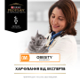 Купить Veterinary Diets OM Obesity Management St/Ox Сухой диетический корм с курицей для снижения избыточной массы тела взрослых кошек