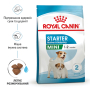 Кипити Mini Starter Mother & Babydog - сухий корм для вагітних собак і цуценят маленьких порід (до 2 місяців)