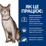 Купить PD Feline K/D Beef Влажный корм для кошек, поддержка функции почек, с говядиной