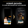 Кипити Large Robust Adult Everyday Nutrion Chicken Сухий корм з куркою для дорослих собак великих і гігантських порід