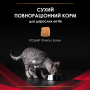Кипити Veterinary Diets DM Diabetes Managment Сухий корм для котів з цукровим діабетом