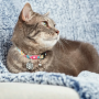 Кипити Smart ID Collar Donuts Нашийник для котів