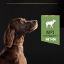 Купить Dog Adult Large Athletic Sensitive Digestion Lamb Сухой корм с ягненком для взрослых собак больших пород атлетического телосложения  с чувствительным пищеварением