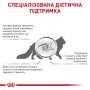 Купить Gastrointestinal Fibre Response Влажный корм для взрослых кошек при расстройствах пищеварения