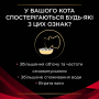 Купить Veterinary diets DM ST/OX Diabetes Managment Влажный корм для взрослых кошек для регулирования поступления глюкозы (сахарный диабет), кусочки в соусе с курицей