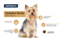 Купить Dog Yorkshire Сухой корм для Йоркширских терьеров с курицей и рисом