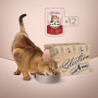 Купить Selection - влажный корм с индейкой и морковью в ​​крем-супе для взрослых кошек