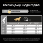 Купить Dog Adult All Size Light/Sterilised White Fish Сухой корм с белой рыбой для взрослых собак всех размеров с избыточной массой тела или стерилизованных