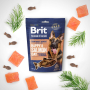 Купить Semi-moist Snack Salmon with Dill Лакомство для собак, полувлажные с лососем и укропом