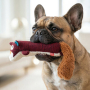 Купить WAUDOG Fun Plush Игрушка для собак, Белка
