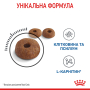 Кипити Light Weight Care - сухий корм для дорослих котів схильних до набору зайвої ваги