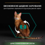 Кипити Cat Adult Sterilised Renal Plus Turkey Сухой корм для дорослих котів після стерилізації з індичкою