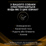 Купить Veterinary Diets NF Renal Function Лечебный сухой корм для взрослых собак с больными почками