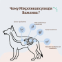 Кипити SuperFlora Probiotic Вітамінний комплекс з пробіотиком