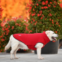 Кипити Softshell Ostin Red Жилет для собак