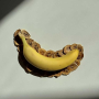 Купить Dog Treats 100 % Banana Натуральное лакомство для собак с бананом