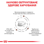 Купить Gastrointestinal - диетический сухой корм для кошек при расстройствах пищеварения