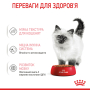 Кипити Kitten Gravy – вологий корм у соусі для кошенят на кожен день (до 12 місяців)