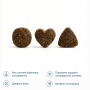 Купить Minkas Perfect Mix Полнорационный сухой корм с птицей, ягненком и рыбой для взрослых кошек