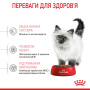 Купить Kitten - сухой корм для котят на каждый день (до 12 месяцев)