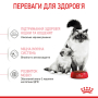 Купить Mother & Babycat - сухой корм для кошек в период беременности и лактации, для котят (от 1 до 4 месяцев)