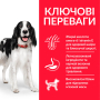 Кипити SP Canine Adult Medium Breed Chicken Сухий корм з куркою для дорослих собак середніх порід